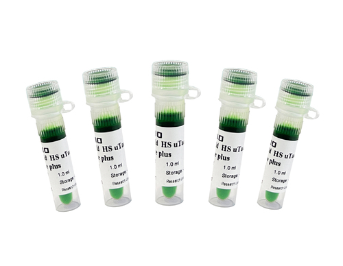Emerald uTaq HS Premix Dye plus